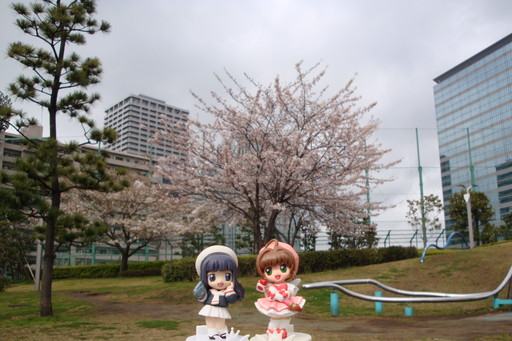 天王洲アイル_東品川海上公園 2