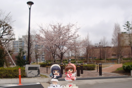 天王洲アイル_東品川海上公園 7